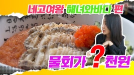 제주 물회 맛집 해녀와바다 제주맛집 네고여왕의 네고력 검증 [네고나라 네고여왕 - 제주맛집 Ep.2] - kakaoTV 제주 물회 맛집 해녀와바다... 