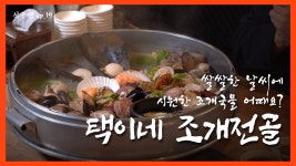 [식구땡🍴19편] – 광진구 ‘택이네 조개전골’ 🐚 배달앱 땡겨요 맛집 리뷰 검증 프로젝트! - kakaoTV [식구땡🍴19편] – 광진구 ‘택이네... 