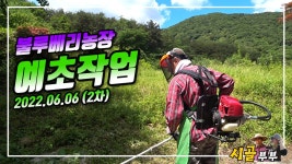 귀농귀촌 시골부부 (불루베리농장 예초작업) 2차 2022 06 06 (월).mp4 - kakaoTV 귀농귀촌 시골부부 (불루베리농장 예초작업) 2차 2022... 