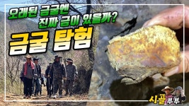 귀농귀촌 시골부부 (금굴 탐험) 오래된 금굴엔 진짜 금이 있을까? - kakaoTV 귀농귀촌 시골부부 (금굴 탐험) 오래된 금굴엔 진짜 금이 있을까?