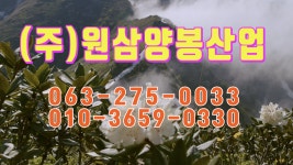 (주)원삼양봉산업 1 - kakaoTV (주)원삼양봉산업 1