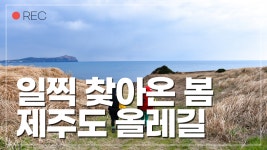 제주도 올레길/트레킹 명소/제주도 여행/올레 1코스/제주도 가볼만한 곳/제주올레길 추천 - kakaoTV 제주도 올레길/트레킹 명소/제주도 여행... 