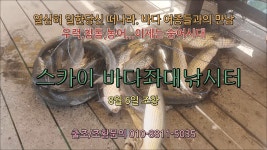 스카이바다좌대낚시터 8월 6일 조황 - kakaoTV 스카이바다좌대낚시터 8월 6일 조황