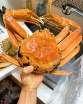 러시아대게 시세 킹크랩 싯가 가성비 좋은 상품만 안내 대게1kg 29900원 실화?! - kakaoTV 이번주 마지막택배! 러시아대게 시세 킹크랩 싯가... 