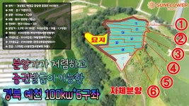 분양가가 저렴하고 보증증권 발급이 가능한 경북 예천 100kw*6구좌 태양광발전소 - kakaoTV 분양가가 저렴하고 보증증권 발급이 가능한... 
