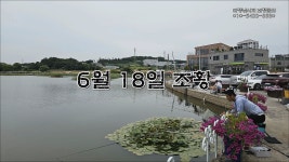 마정낚시터 6월 18일 조황 - kakaoTV 마정낚시터 6월 18일 조황