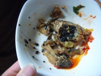 개구리반찬 통합----- 개구리반찬 통합----- 루리웹