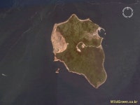 풀베개 : 인터넷식물도감 - 풀베개 풍도 야외탐사 계획(3월18일) 1주연기