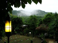 풀베개 : 인터넷식물도감 - 들꽃님들의 좋은 만남