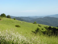오랜만에 가본 산길 드라이빙