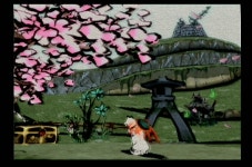 친 환경 게임 오오카미