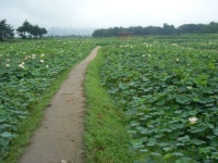 미소의 기차여행 ③경주下 묵해장국