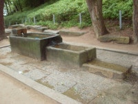 미소의 기차여행 ③경주下 묵해장국