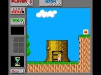 원더보이 몬스터랜드 플레이 일기