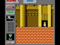 원더보이 몬스터랜드 플레이 일기