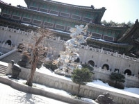 외가 강원도 영월 갔다와서 올라오면서 찍은 사진들입니다