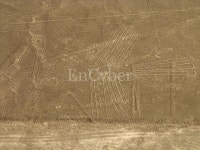 나스카 UFO (2011) | 괴담 | 루리웹 l RULIWEB 나스카 UFO (2011) | 괴담 | 루리웹