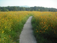 순규의 혼자내일로여행 2일차 - 경주 여행 | 여행 행사 풍경 사진 갤러리 순규의 혼자내일로여행 2일차 - 경주 여행 | 여행 행사 풍경 사진 갤러리... 