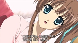 노을빛으로 물드는 언덕 내용정리 한번에 보자