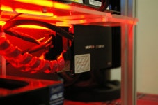 울프 떠나 보내기 전에 마지막 사진