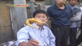 유쾌한 두뇌검색 35회 무료보기-SBS ALL VOD 35회 유쾌한 두뇌검색 : All VOD