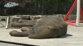 줌인 세계로 떠나자 51회 무료보기-SBS ALL VOD 51회 줌인 세계로 떠나자 : All VOD