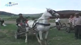 줌인 세계로 떠나자 80회 무료보기-SBS ALL VOD 80회 줌인 세계로 떠나자 : All VOD