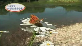 인셀덤웰빙라이프 | 브라보 웰빙 라이프 99회 무료보기-SBS ALL VOD 99회 브라보 웰빙 라이프 : All VOD