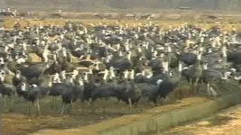 물은 생명이다 304회 무료보기-SBS ALL VOD 304회 물은 생명이다 : All VOD