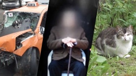 궁금한 이야기 Y 399회 무료보기-SBS ALL VOD 399회 궁금한 이야기 Y : All VOD