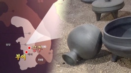 꾸러기 탐구생활 787회 무료보기-SBS ALL VOD 787회 꾸러기 탐구생활 : All VOD