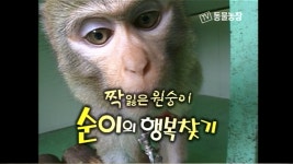 TV 동물농장 16회 무료보기-SBS ALL VOD 16회 TV 동물농장 : All VOD