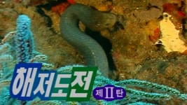 TV 동물농장 16회 무료보기-SBS ALL VOD 16회 TV 동물농장 : All VOD
