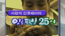 TV 동물농장 18회 무료보기-SBS ALL VOD 18회 TV 동물농장 : All VOD