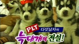 TV 동물농장 16회 무료보기-SBS ALL VOD 16회 TV 동물농장 : All VOD