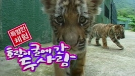 TV 동물농장 16회 무료보기-SBS ALL VOD 16회 TV 동물농장 : All VOD