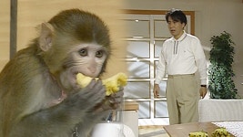 순풍산부인과 3회 무료보기-SBS ALL VOD 3회 순풍산부인과 : All VOD