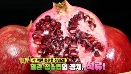 좋은아침 5465회 무료보기-SBS ALL VOD 5465회 좋은아침 : All VOD