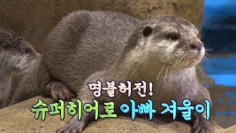 TV 동물농장 913회 무료보기-SBS ALL VOD 913회 TV 동물농장 : All VOD