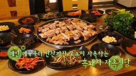 살맛나는 오늘 45회 무료보기-SBS ALL VOD 45회 살맛나는 오늘 : All VOD