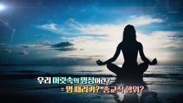 인문학 특강 41회-SBS ALL VOD 41회 인문학 특강 : All VOD