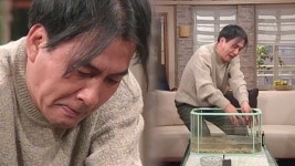 순풍산부인과 671회 무료보기-SBS ALL VOD 671회 순풍산부인과 : All VOD