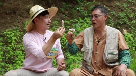 네트워크 현장! 고향이 보인다 1089회 무료보기-SBS ALL VOD 1089회 네트워크 현장! 고향이 보인다 : All VOD