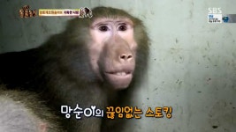 24시간이 모자라 : 클립영상 : SBS SBS