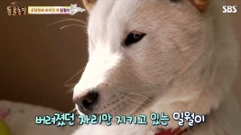 요양원 : 클립영상 : SBS SBS