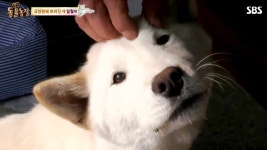 요양원 : 클립영상 : SBS SBS