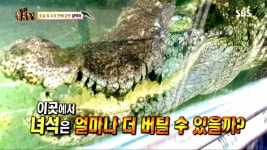 1급 : 클립영상 : SBS SBS