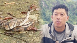 이병규 : 클립영상 : SBS SBS