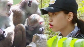 김도연 : 클립영상 : SBS SBS