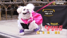 강예원 : 클립영상 : SBS SBS